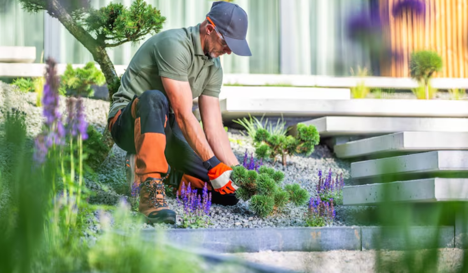 Wie Gartengestaltung Ihnen hilft, einen funktionalen und schönen Außenbereich zu schaffen